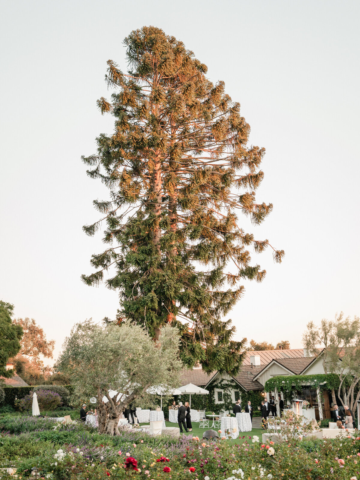 Tyler Speier - KT Merry - San Ysidro Ranch Wedding-sp-98