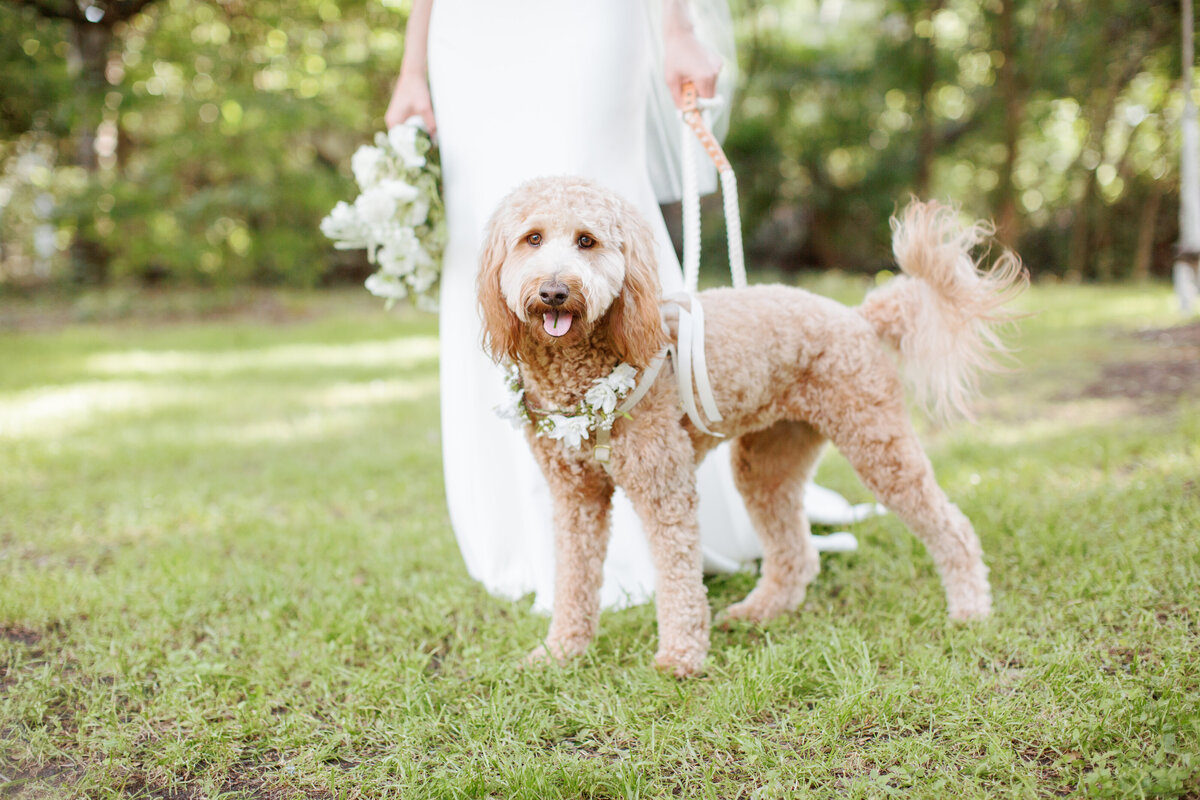 Paige Vaughn Photo_Blaire Asher Wedding_0184