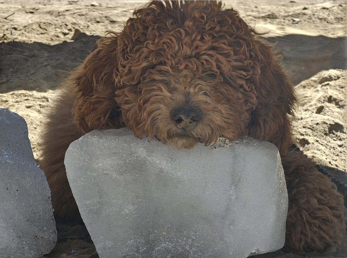 Screenshot 2024-08-27 at 12.27.24 PM