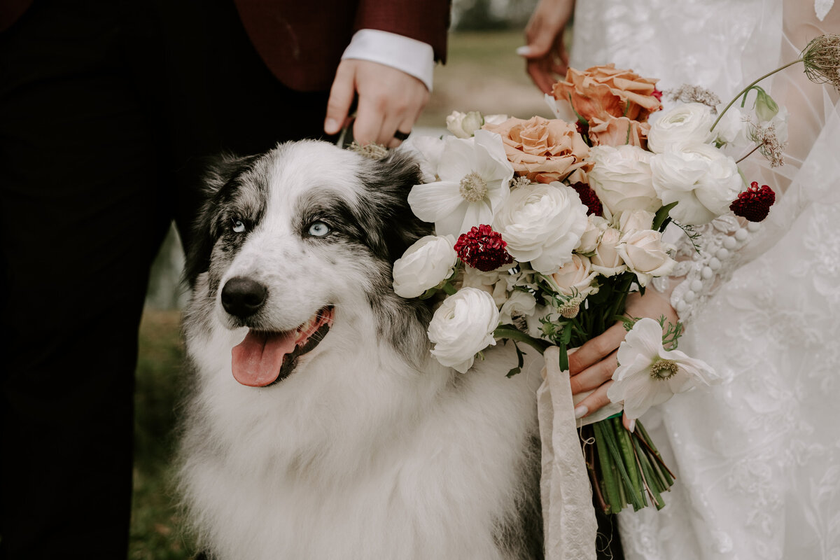 Jeremy&Tahlia-Fox&Kin-478