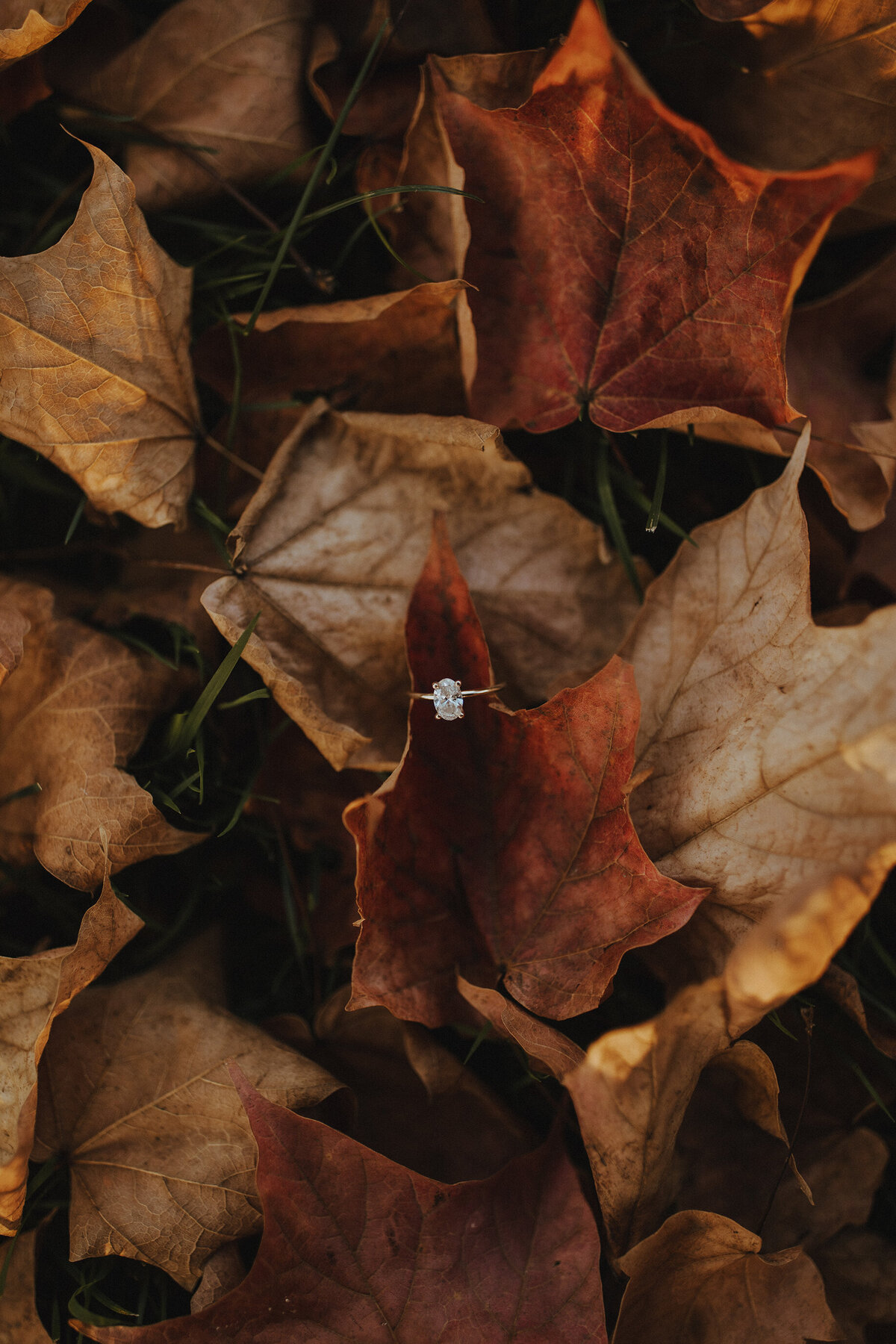 BAP25-CayciJacob-Engagement-242