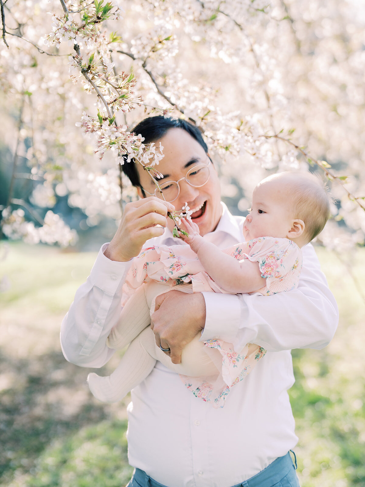 Asian father holds his baby girl up to cherry blossom branch and smiles.