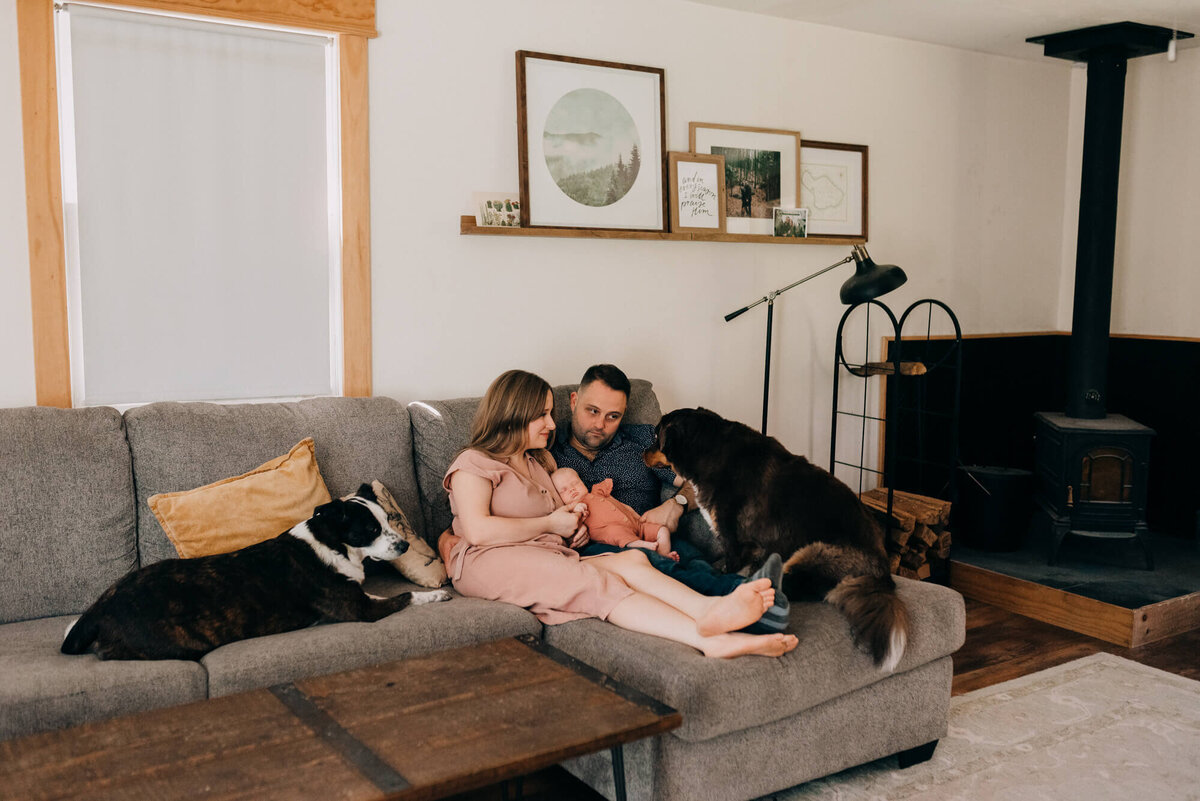 A young couple sits on their couch with their newborn daughter and their dogs, the dad is looking at one of the dogs like the dog is being sneaky