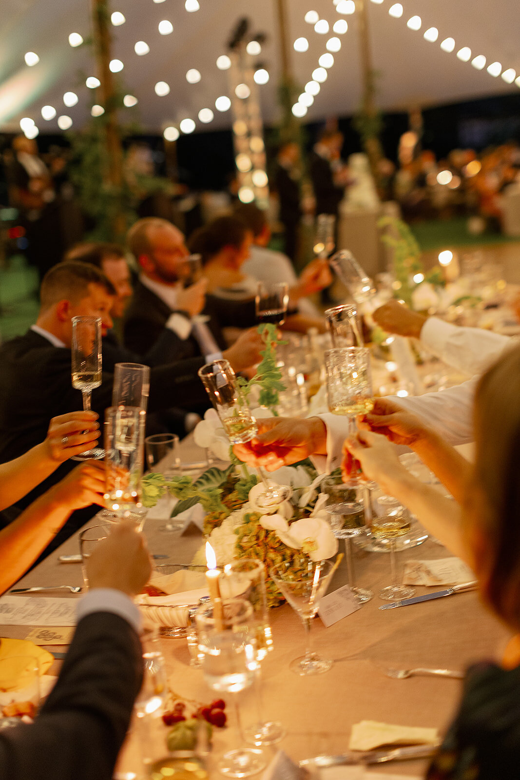 hilaryandbrewster_weddingphotos-848