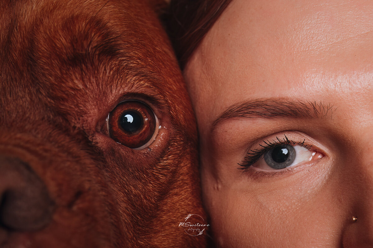 Hond en baasje close up tijdens een fotoshoot in de studio. 