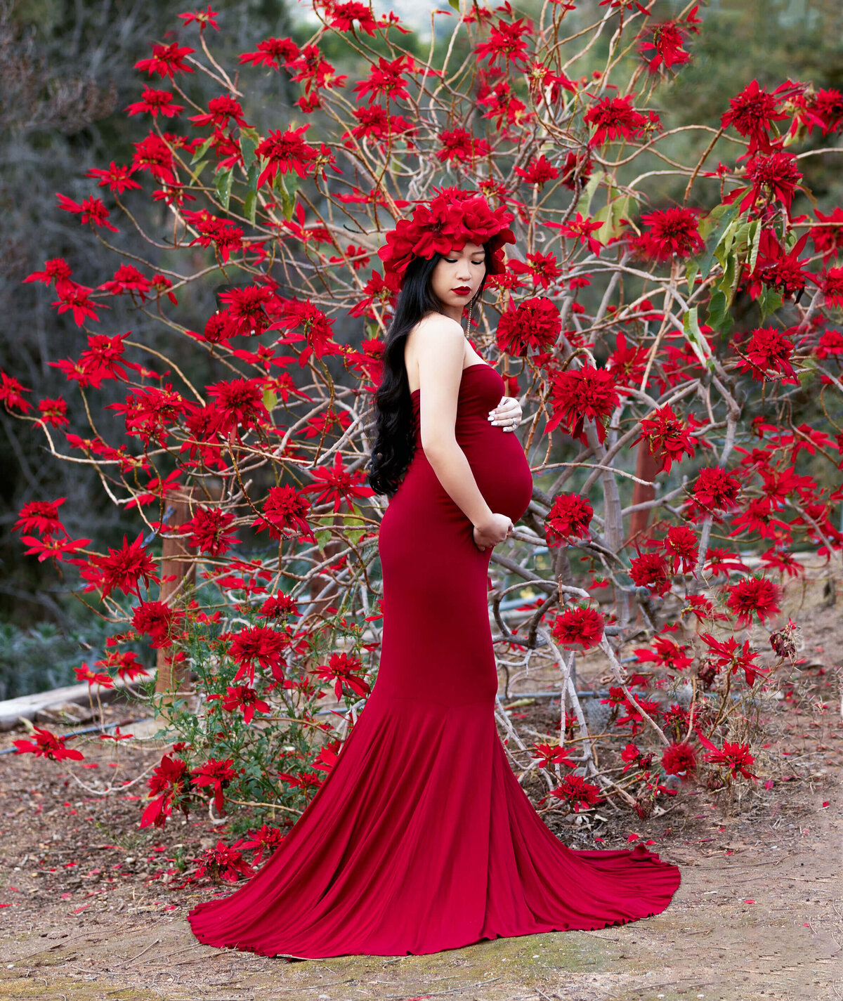 MATERNITY SESSION AT A BOTANICAL GARDEN IN FRONT ON A RED FLOWERING BUSH