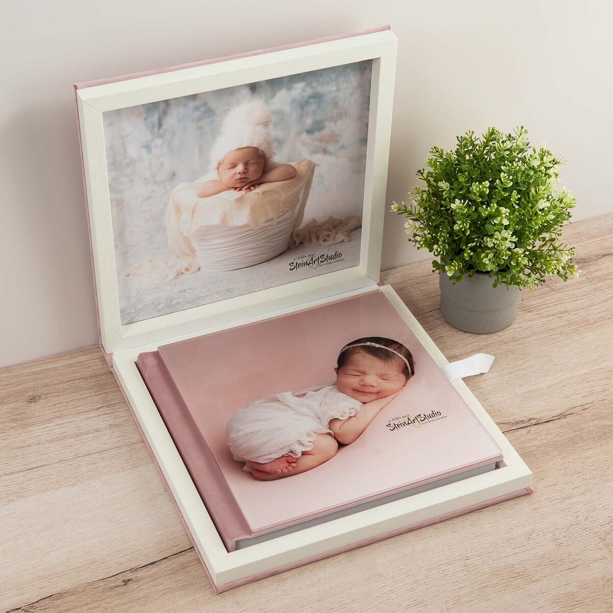 steinart-studios-product-album-image-displayed-2024