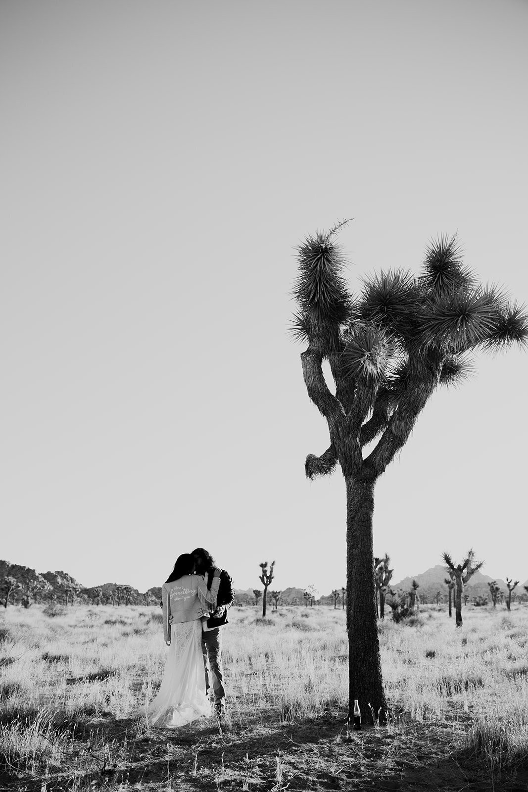 Wedding couple head to head next to a Joshua Tree in Mojave Desert