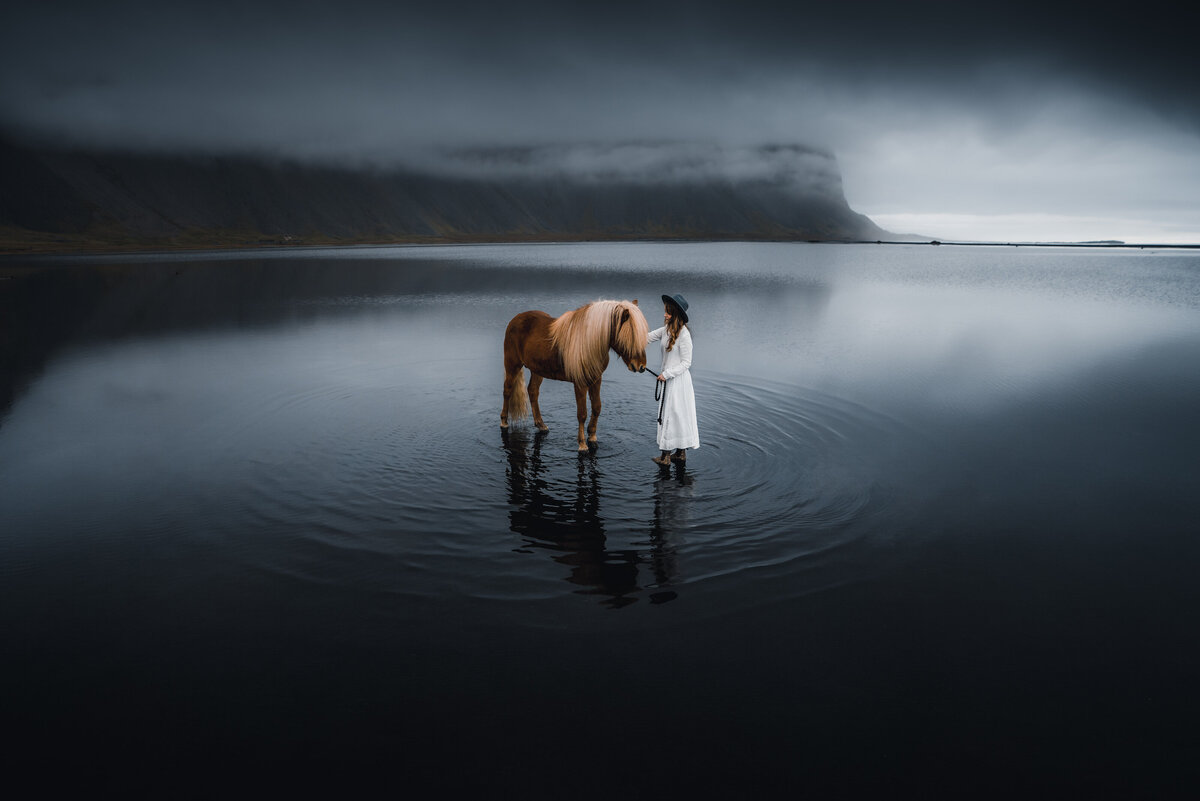 181_iceland horse_helloemilie