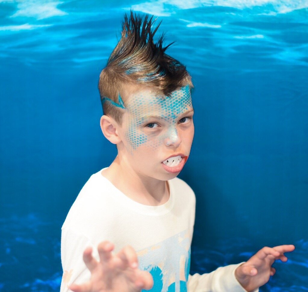 shark 2