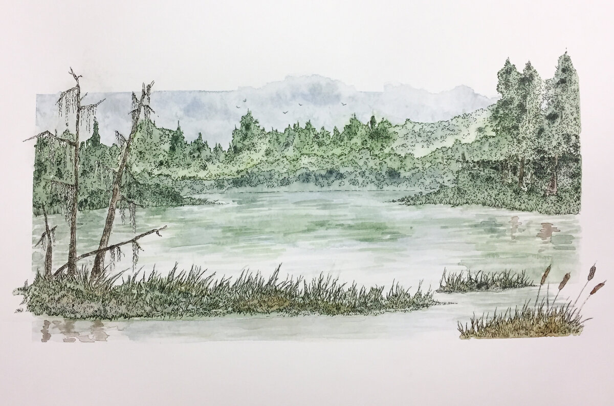 Lowcountry South Carolina Artist