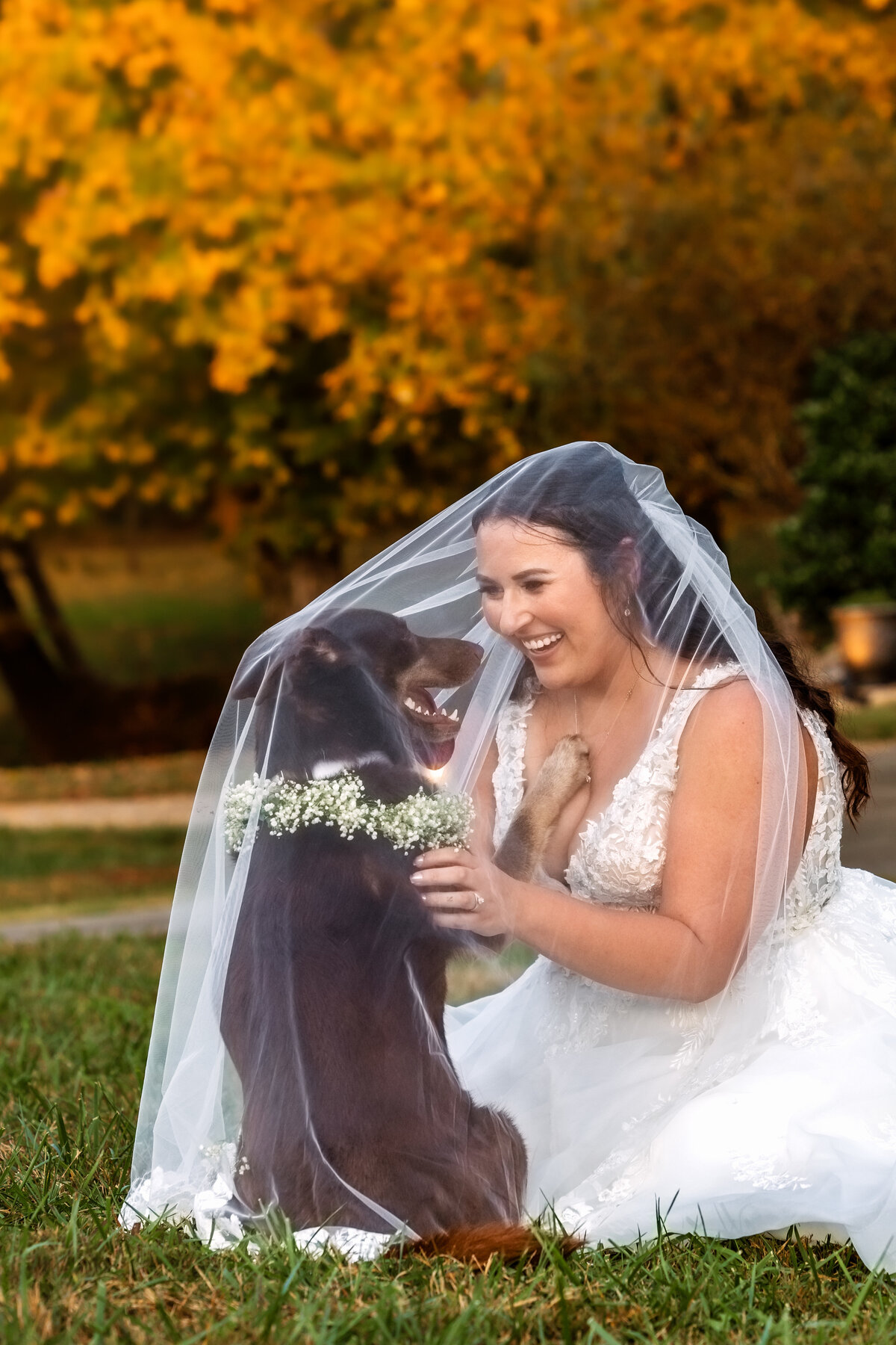 nicole+nick-9195