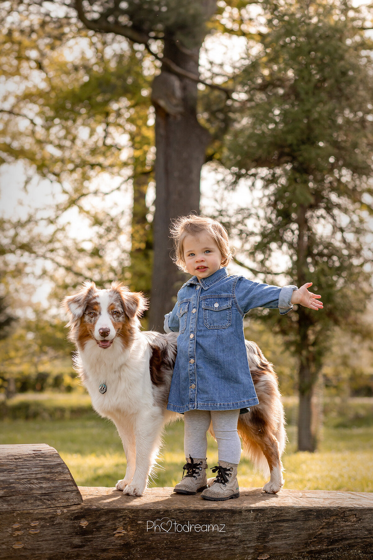 fotoshoot-limburg-honden12