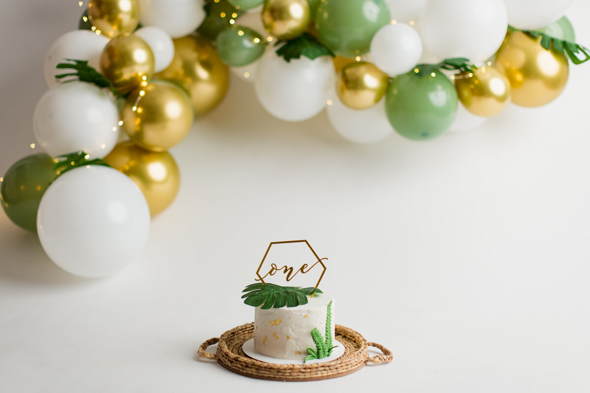 Huntsville AL Cake Smash Photographer