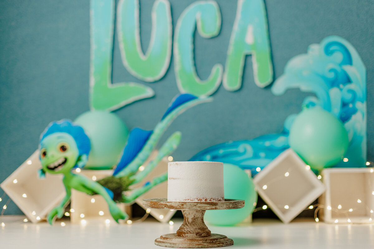 Huntsville AL Cake Smash Photographer