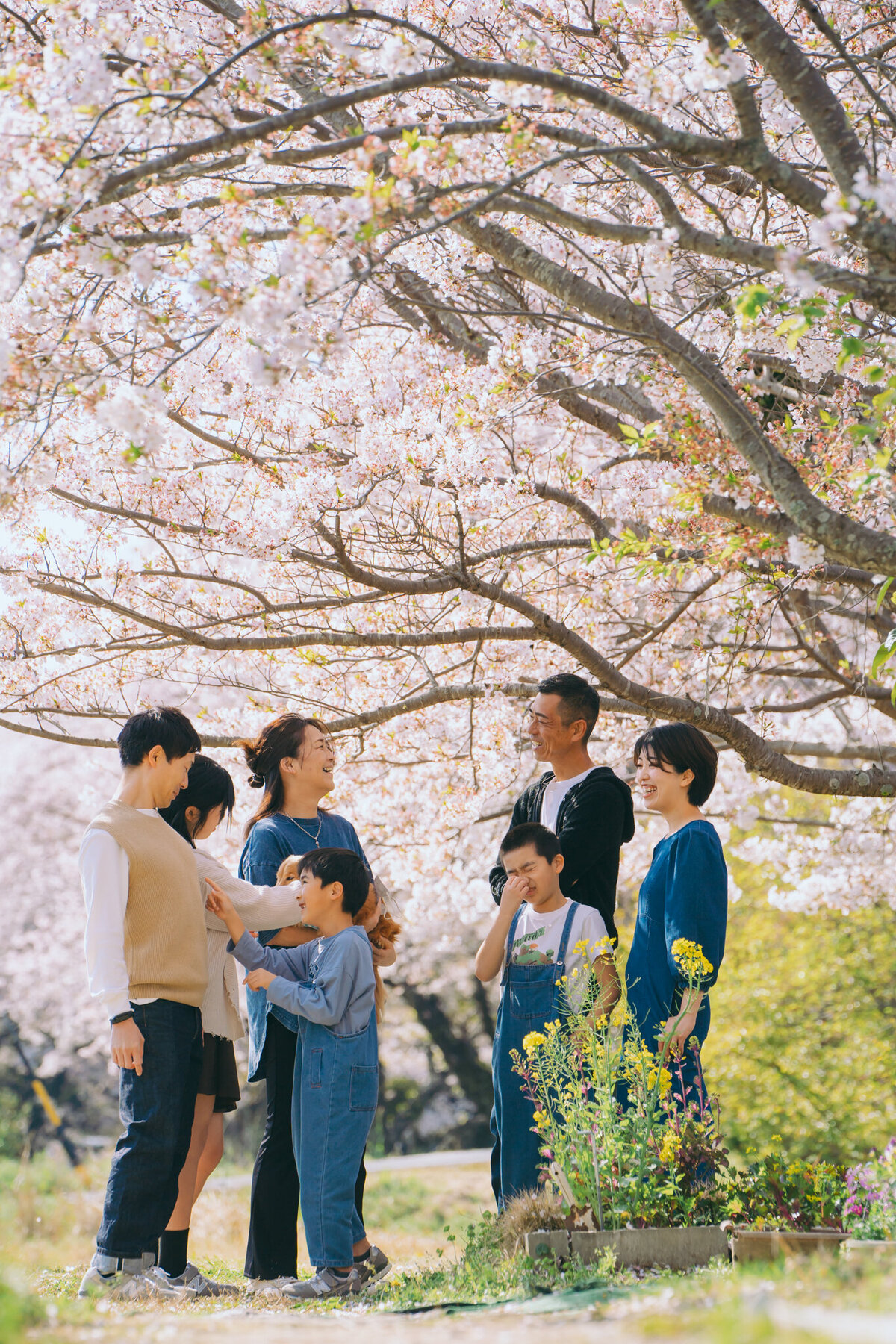 aichi-toyohashi-family-photographer-03