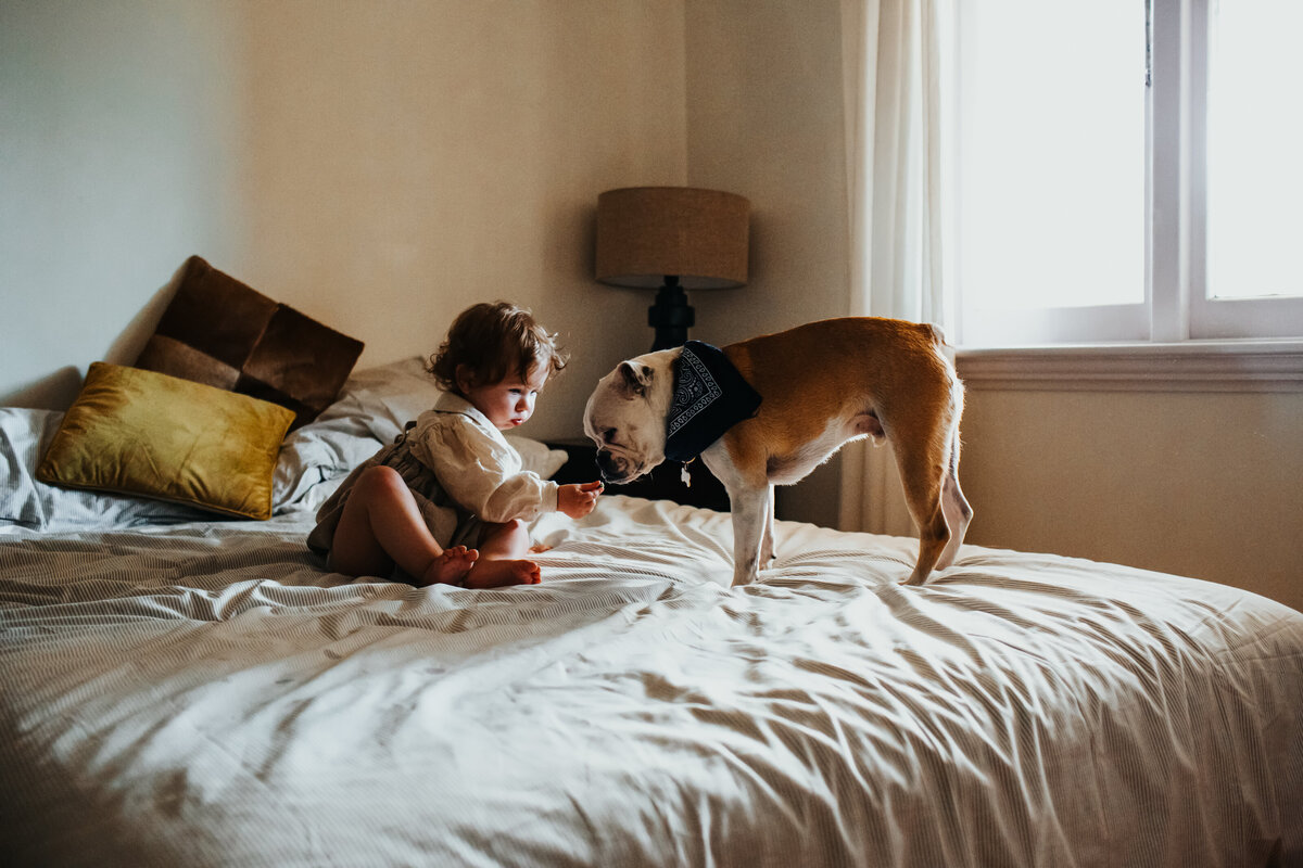 Dogfolk Pet Photography - Hazel + Flynn_-139