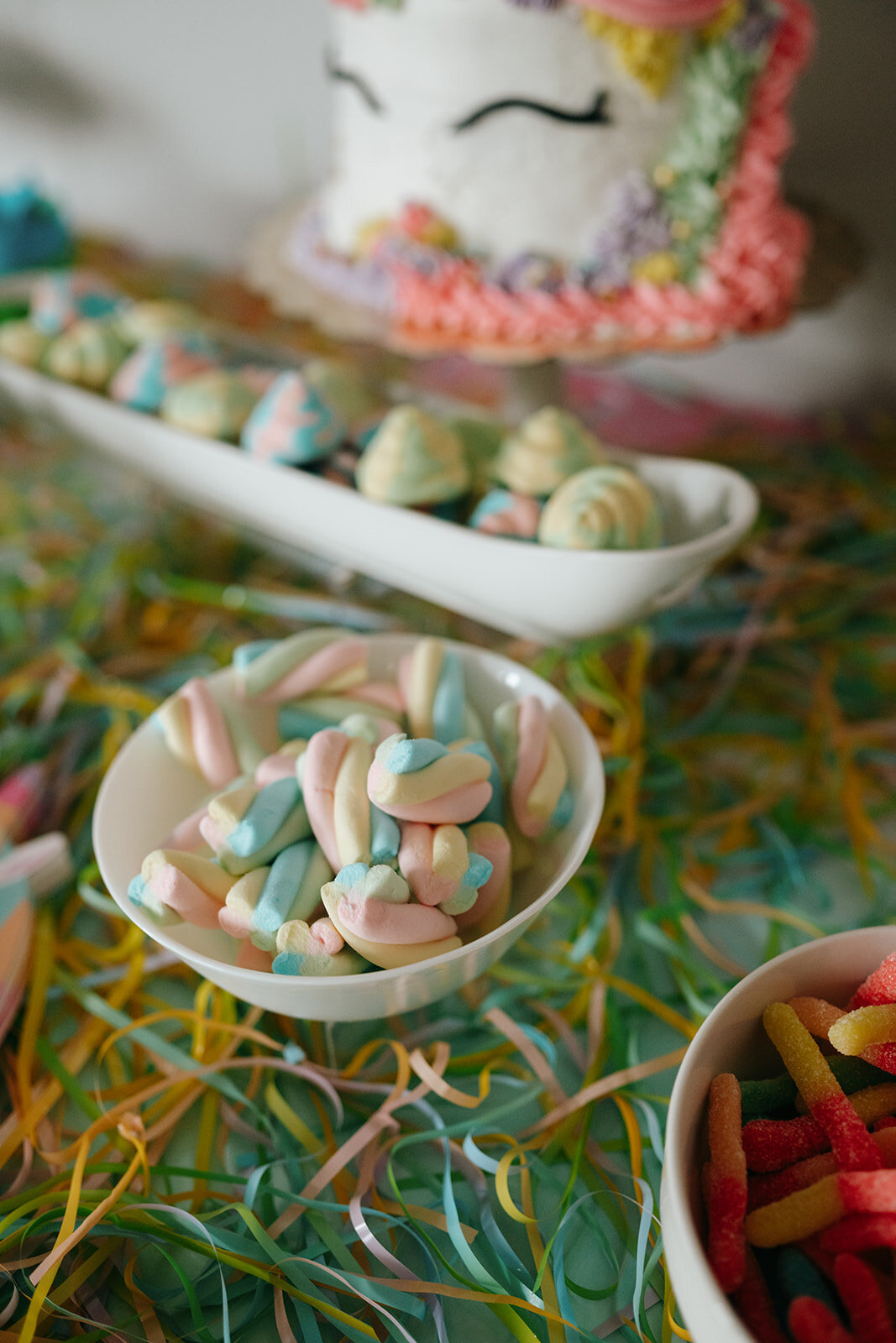 kids-birthday-party-planner-asheville-06