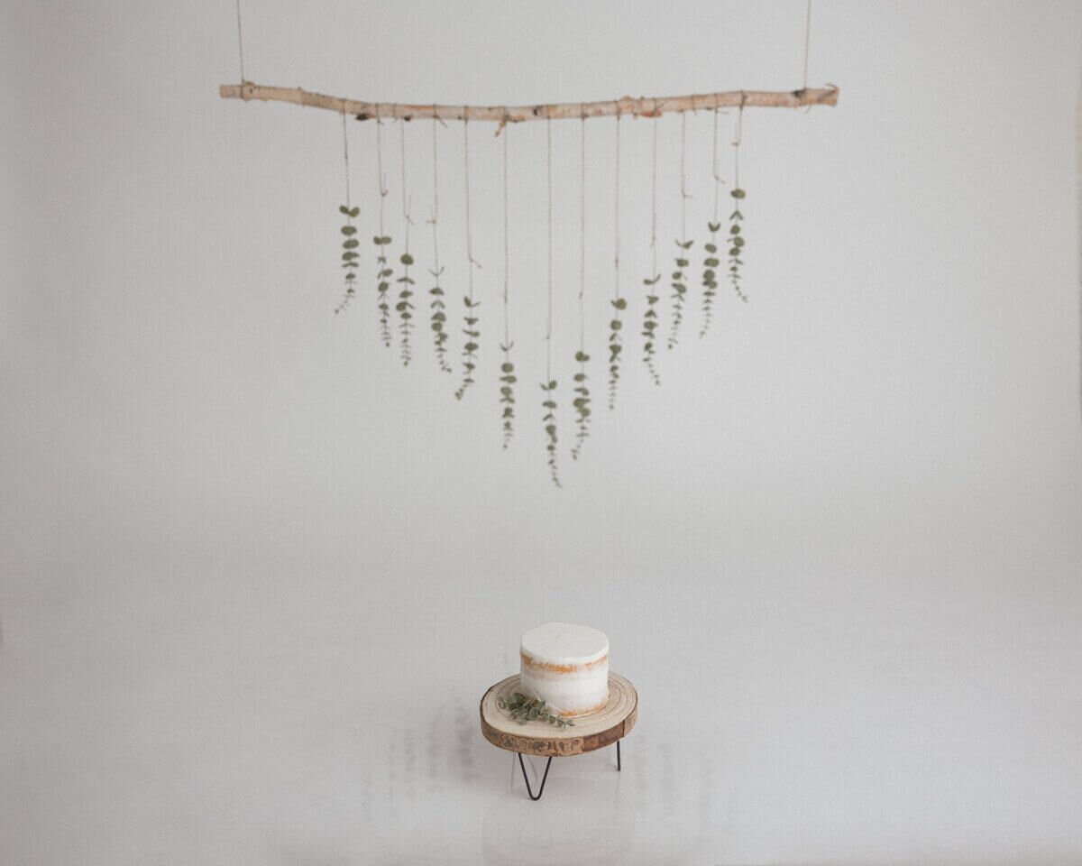 Minimalist cake smash setup with a small naked cake on a wooden stand, hanging greenery in the background.