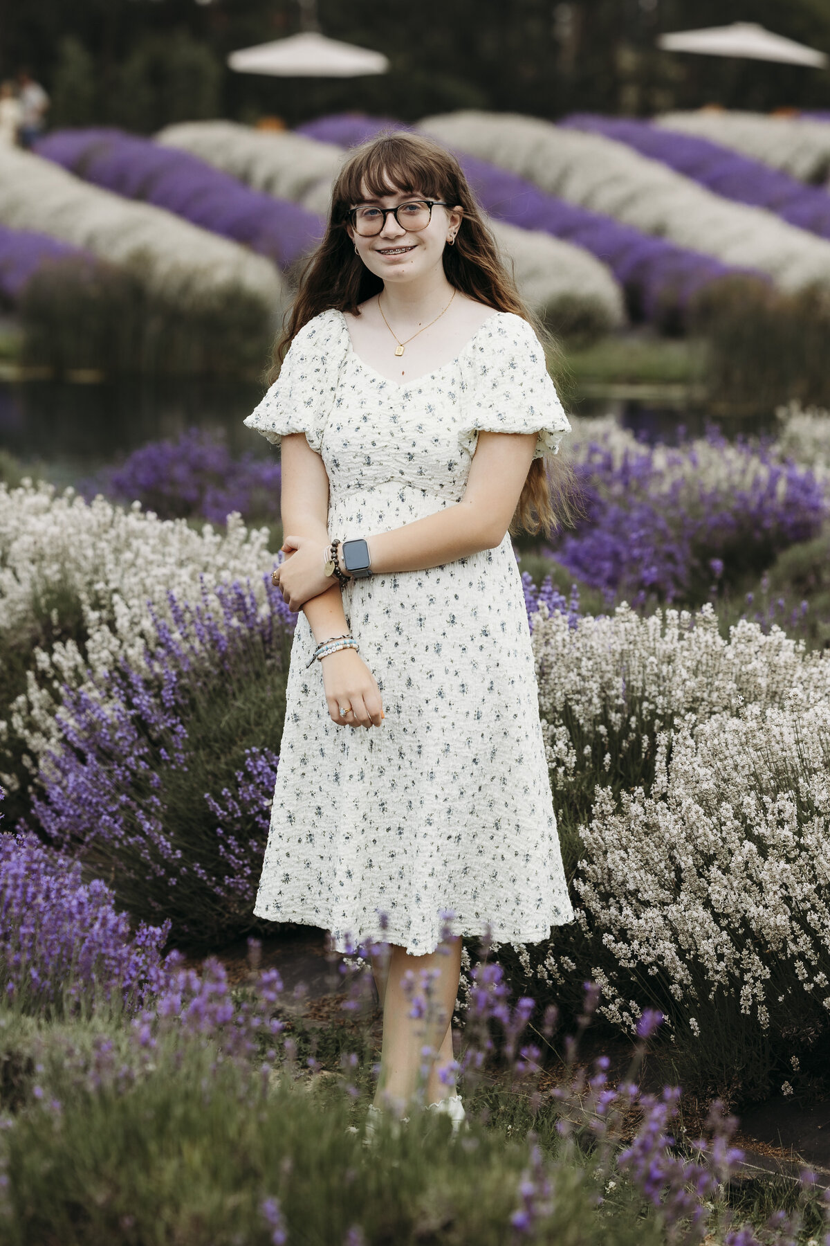 Lavender-6541