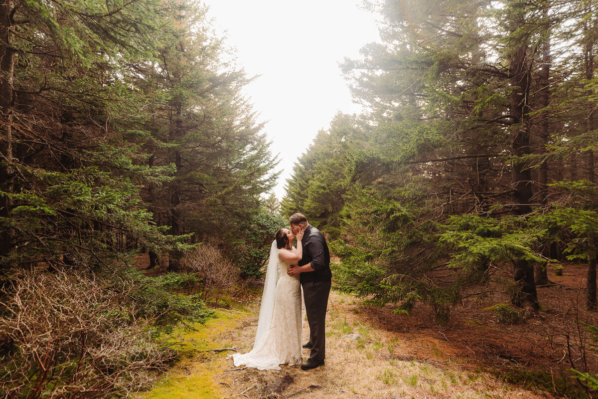 Black-Balsam-NC-Elopement-29