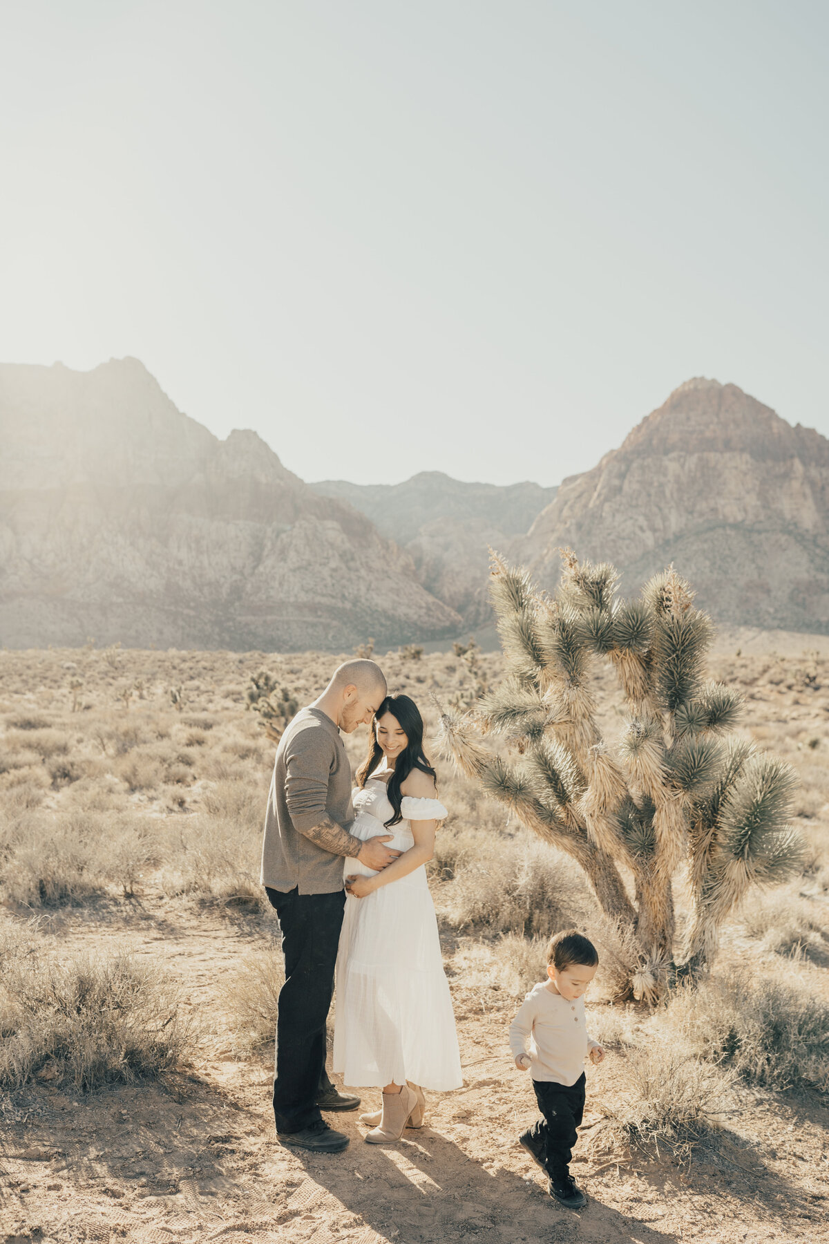 LAS VEGAS MATERNITY PHOTOGRAPHER-12