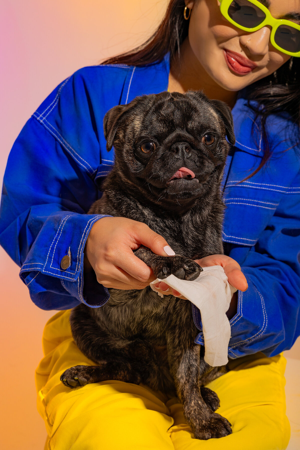 ddbcdogphotos_