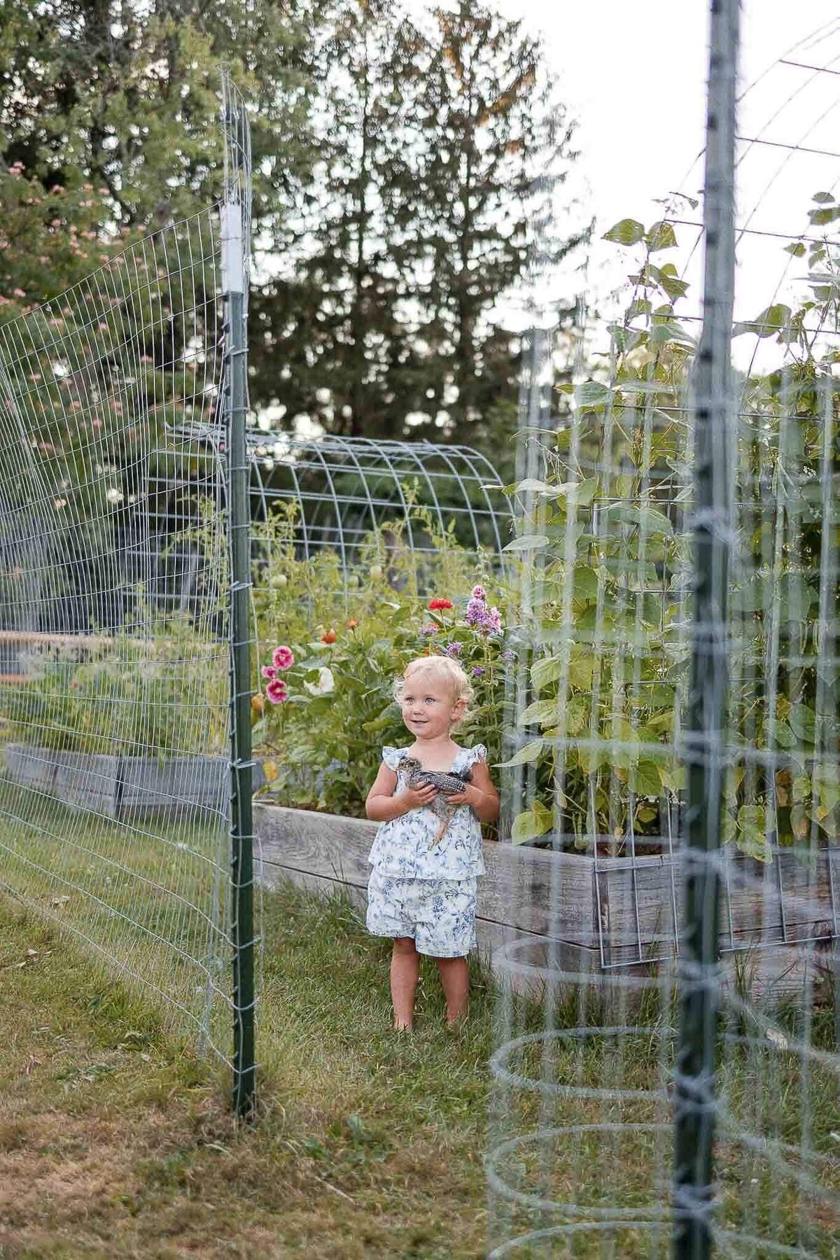 Little girl holding chicken in beautiful backyard garden family photography session in Cleveland.