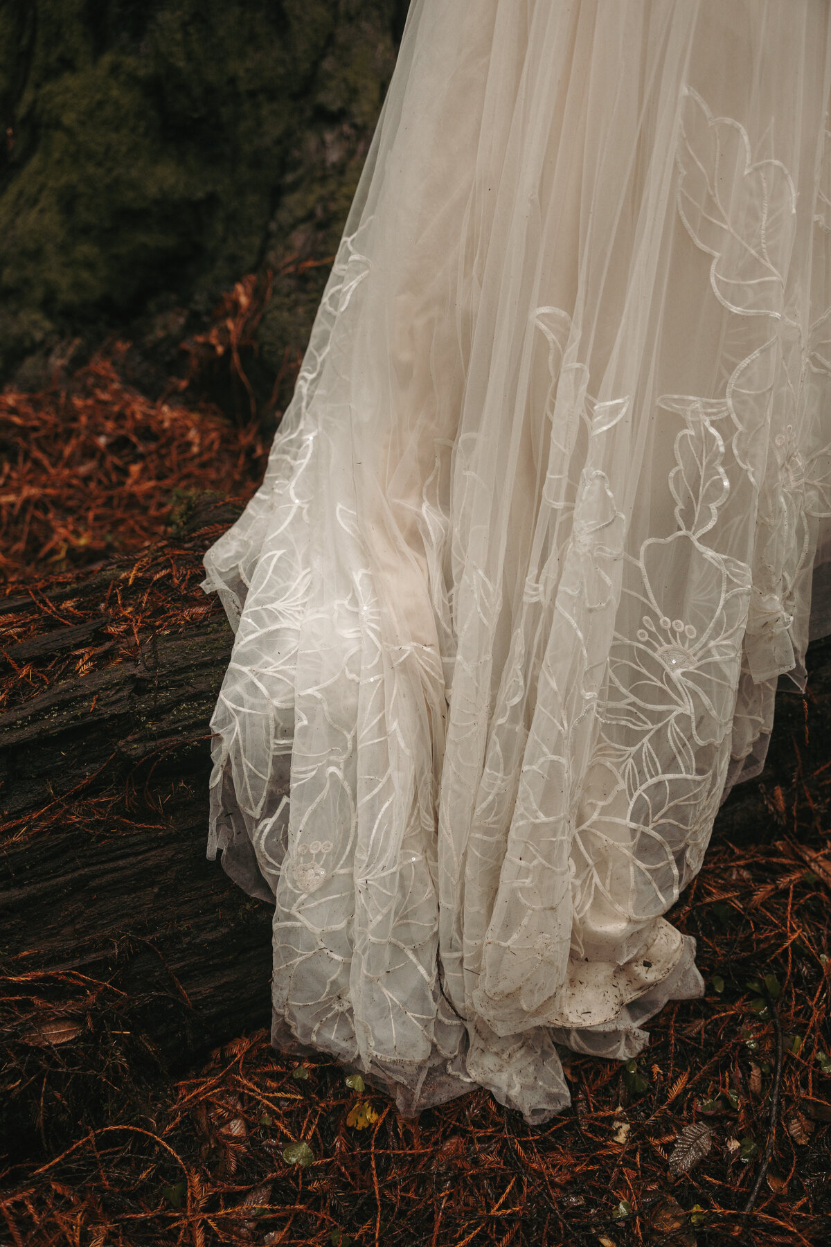 beckyzachbrookingsoregonelopement44