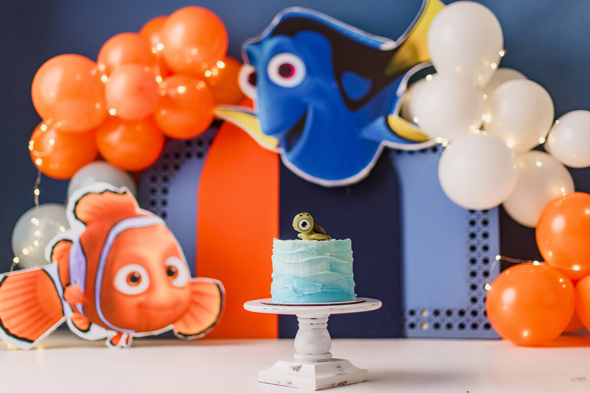 Huntsville AL Cake Smash Photographer
