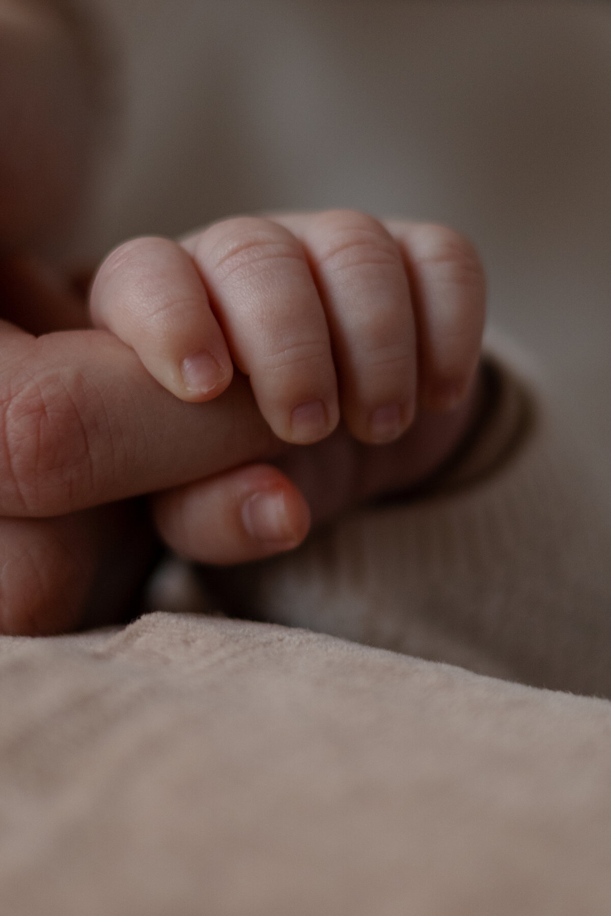  Een close-up van een babyhand die stevig de hand van een volwassene vasthoudt, symboliserend liefde en verbinding.