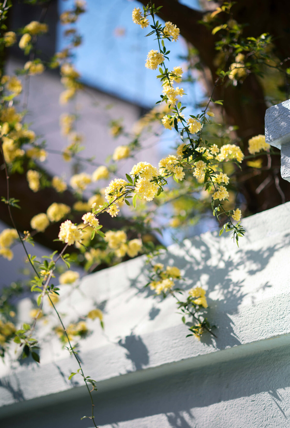 Hotel-Emeline-Wedding-25