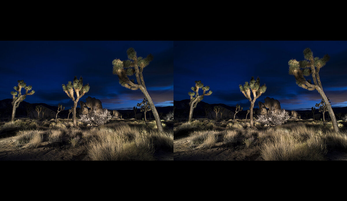 ST-Joshua-Trees-Light-Painting