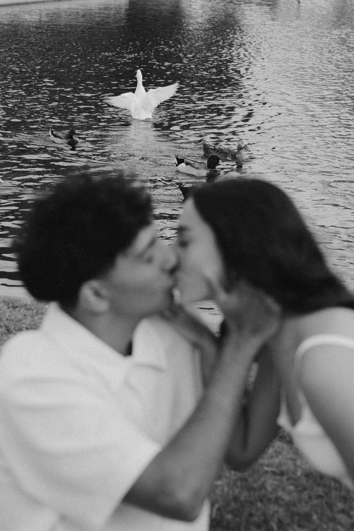 Artistic Black and White Engagement Photo with Couple Kissing Beside Ducks on Water