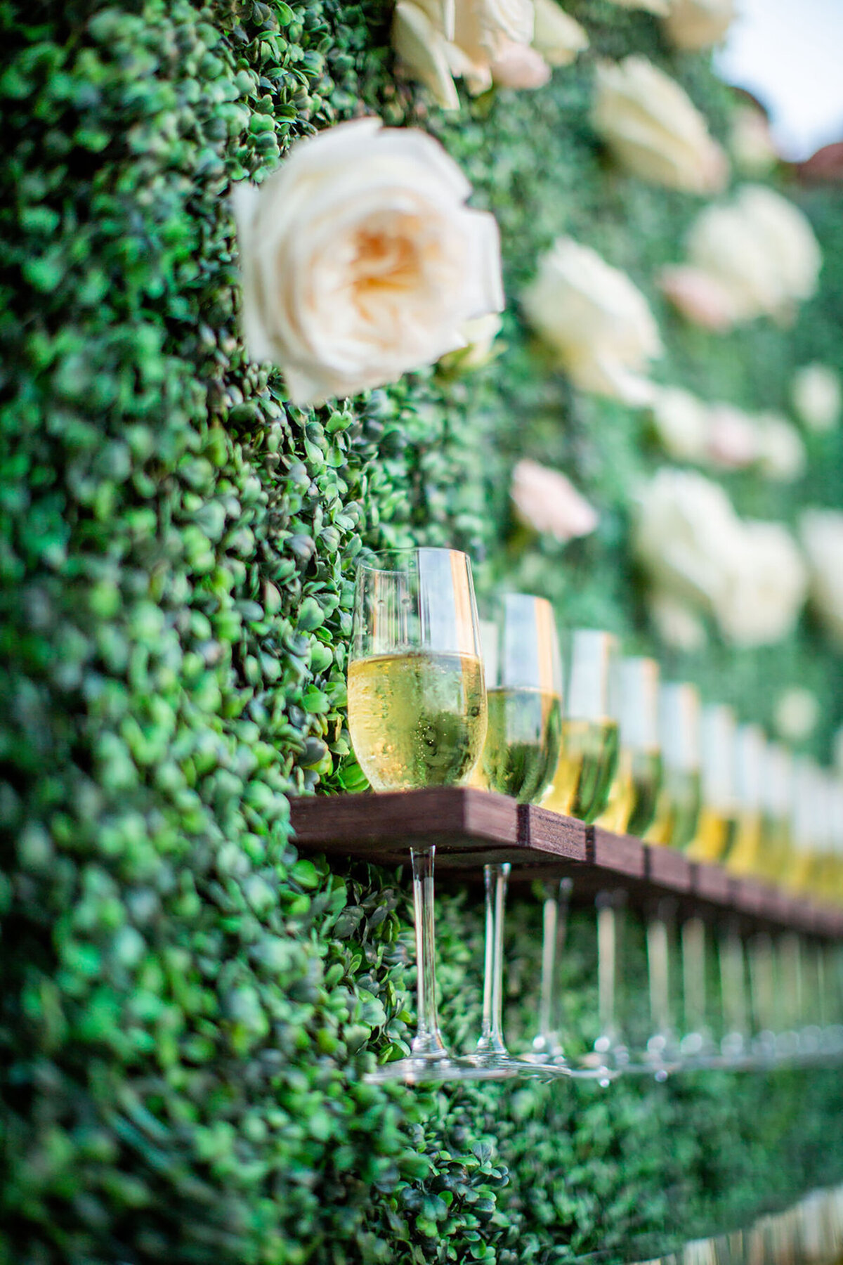 Southern California Wedding Planner - Robin Ballard Events - Waterfront - 5T4A7483
