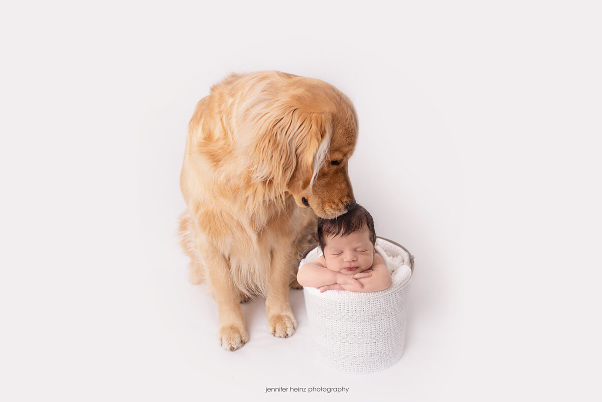 chester-county-newborn-dog