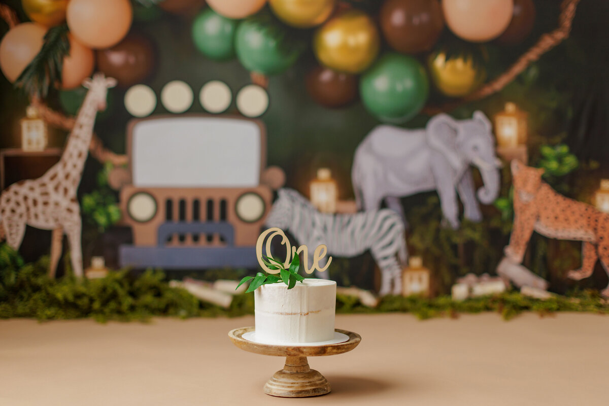 Huntsville AL Cake Smash Photographer