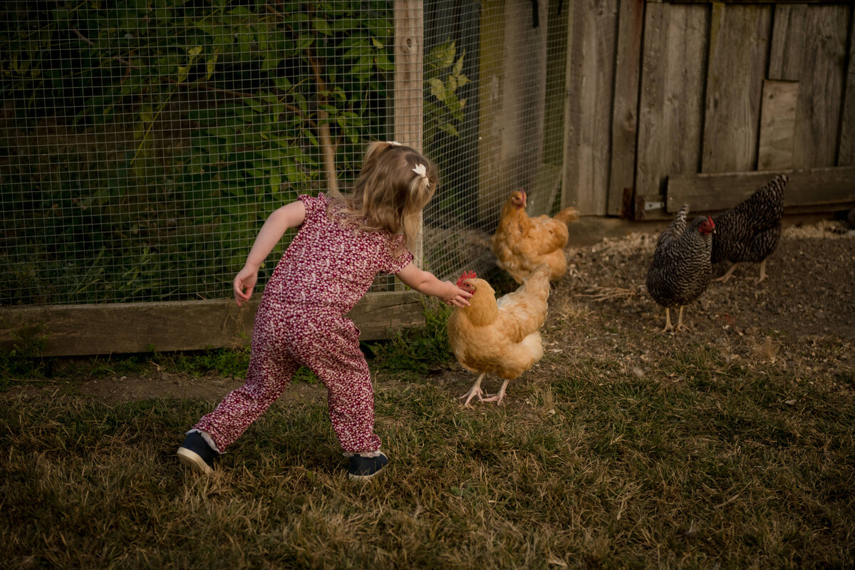 Boston-Family-Photographer-Bella-Wang-Gore-Farm-Waltham-4