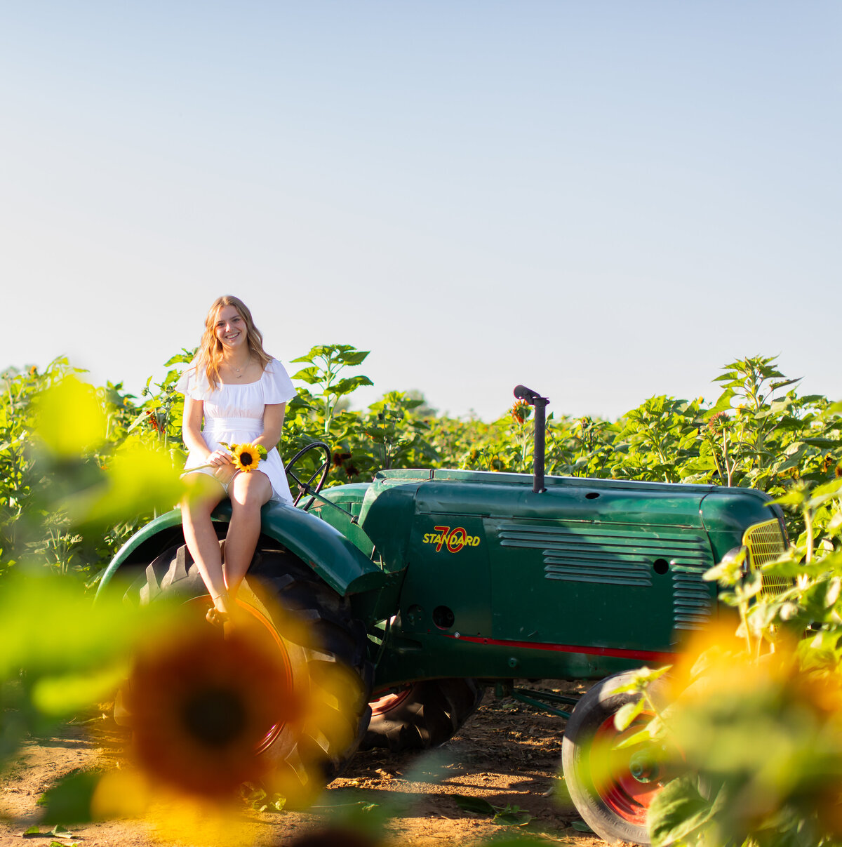Addison sunflower shoot _0012