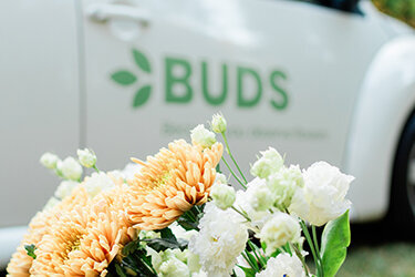 Horn Photography & Design Buds - 0017_