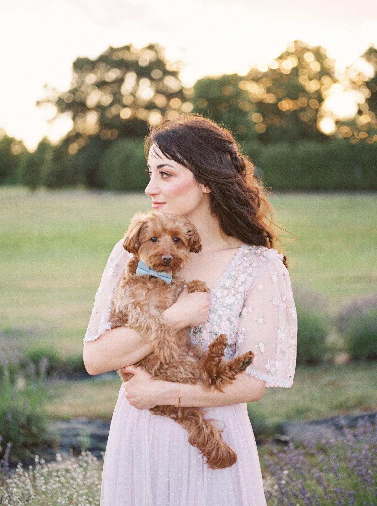 lavender field family photographer northern virginia