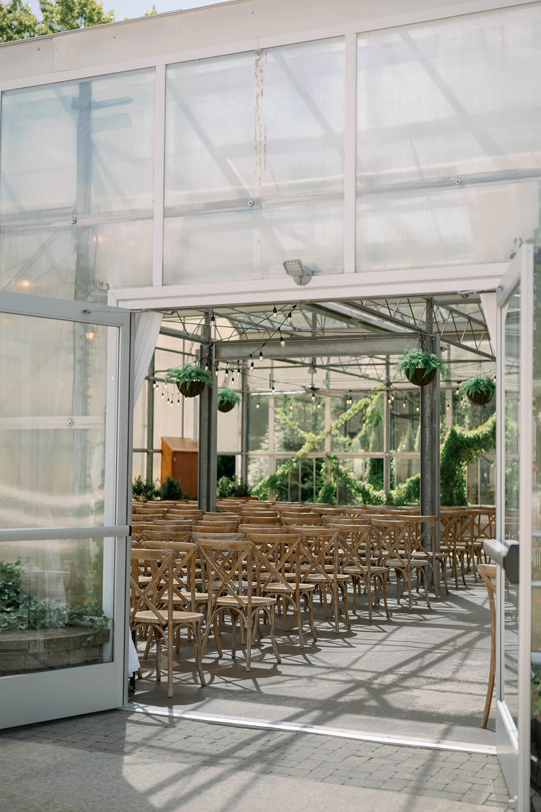 Interior view of the empty greenhouse at The Ivy House showing greenery, glass structure and natural light