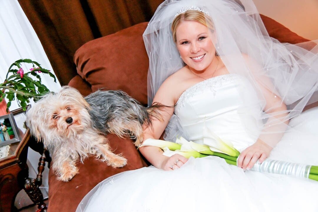 Wedding-bride-and-dog