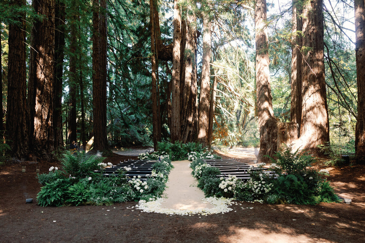 ©2024-ags-photo-Santa-Lucia-Preserve-Forest-104