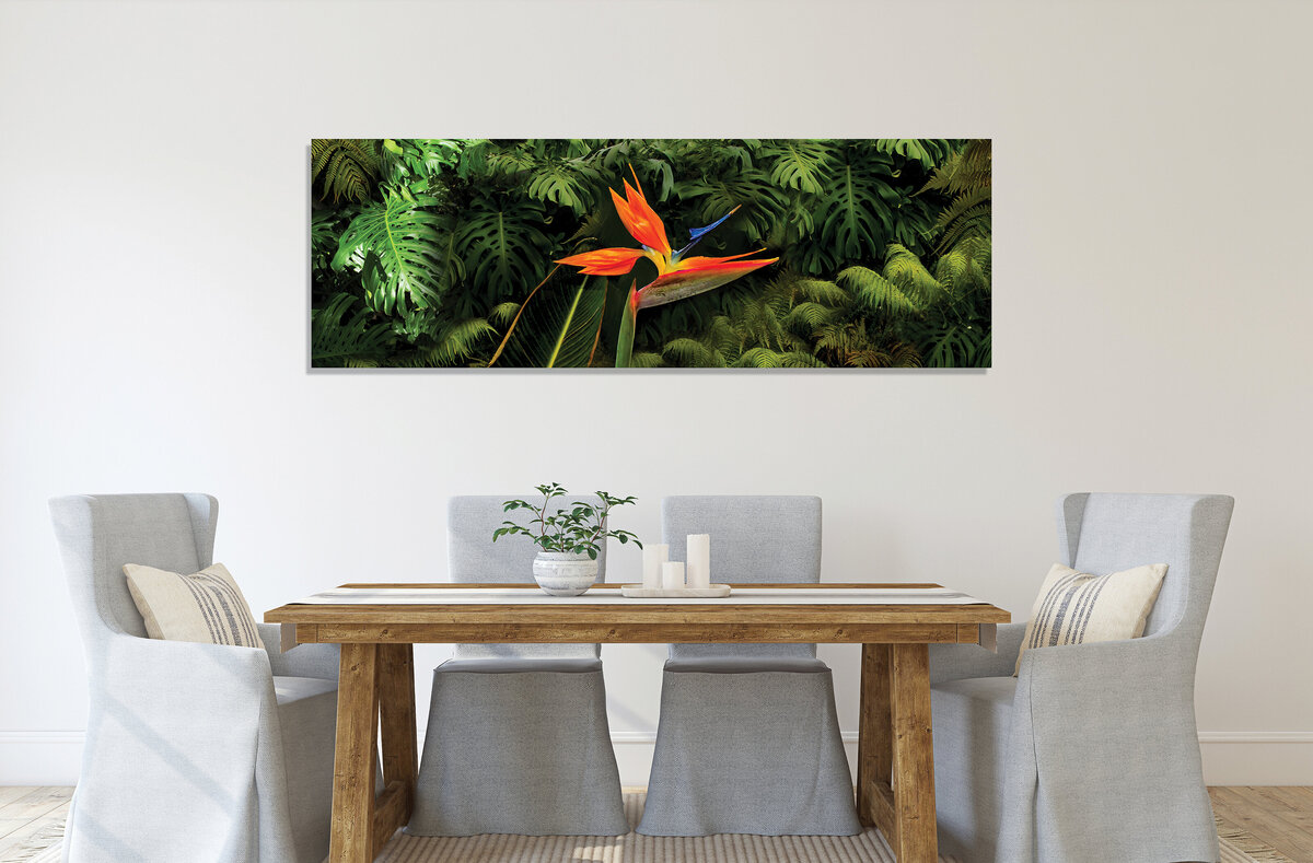 ©FredWGillaspy-FWG-HI-Pano-Bird-MU-003