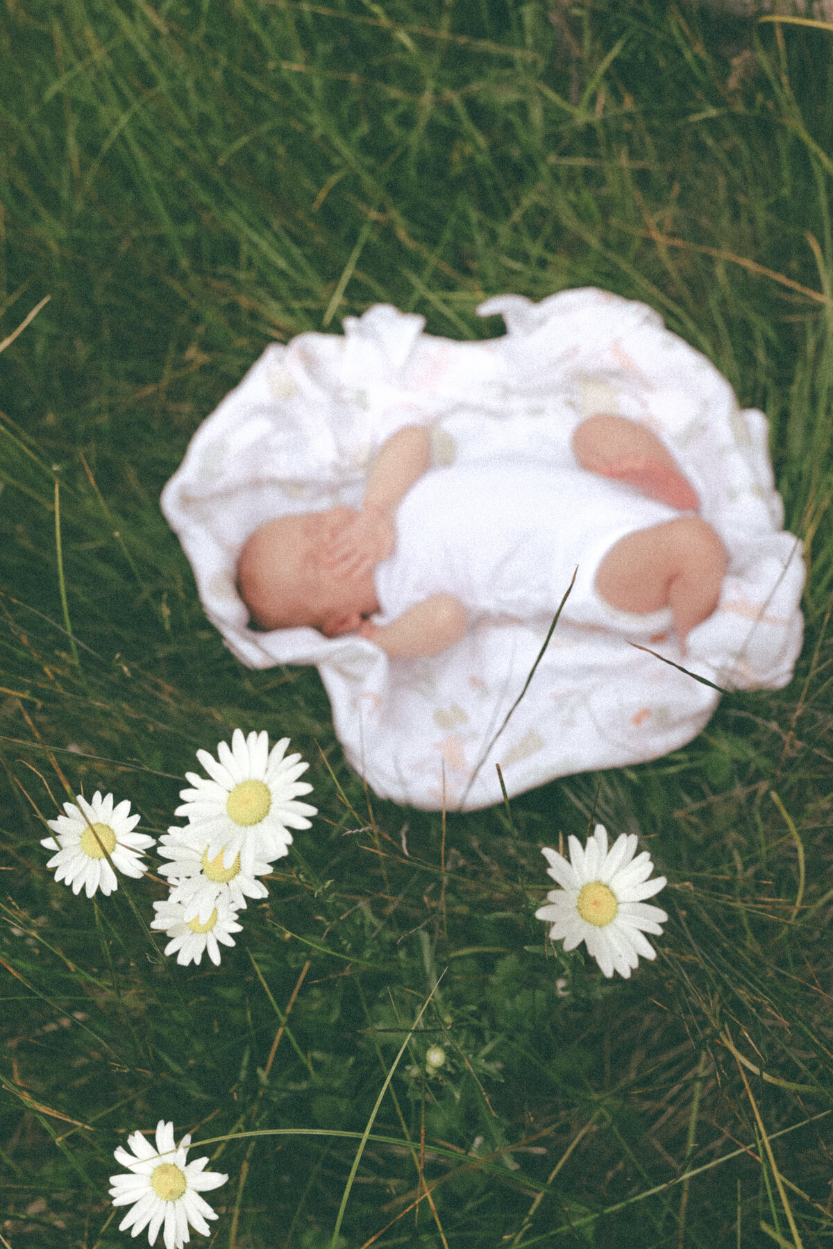 Newborn Baby Lying on Blanket in Meadow Surrounded by Wild Daisies