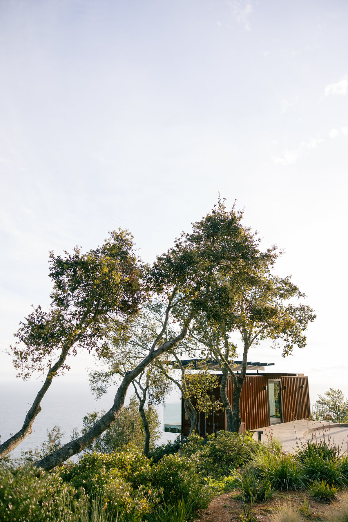 Ventana-Big-Sur-Wedding-Photographer-92