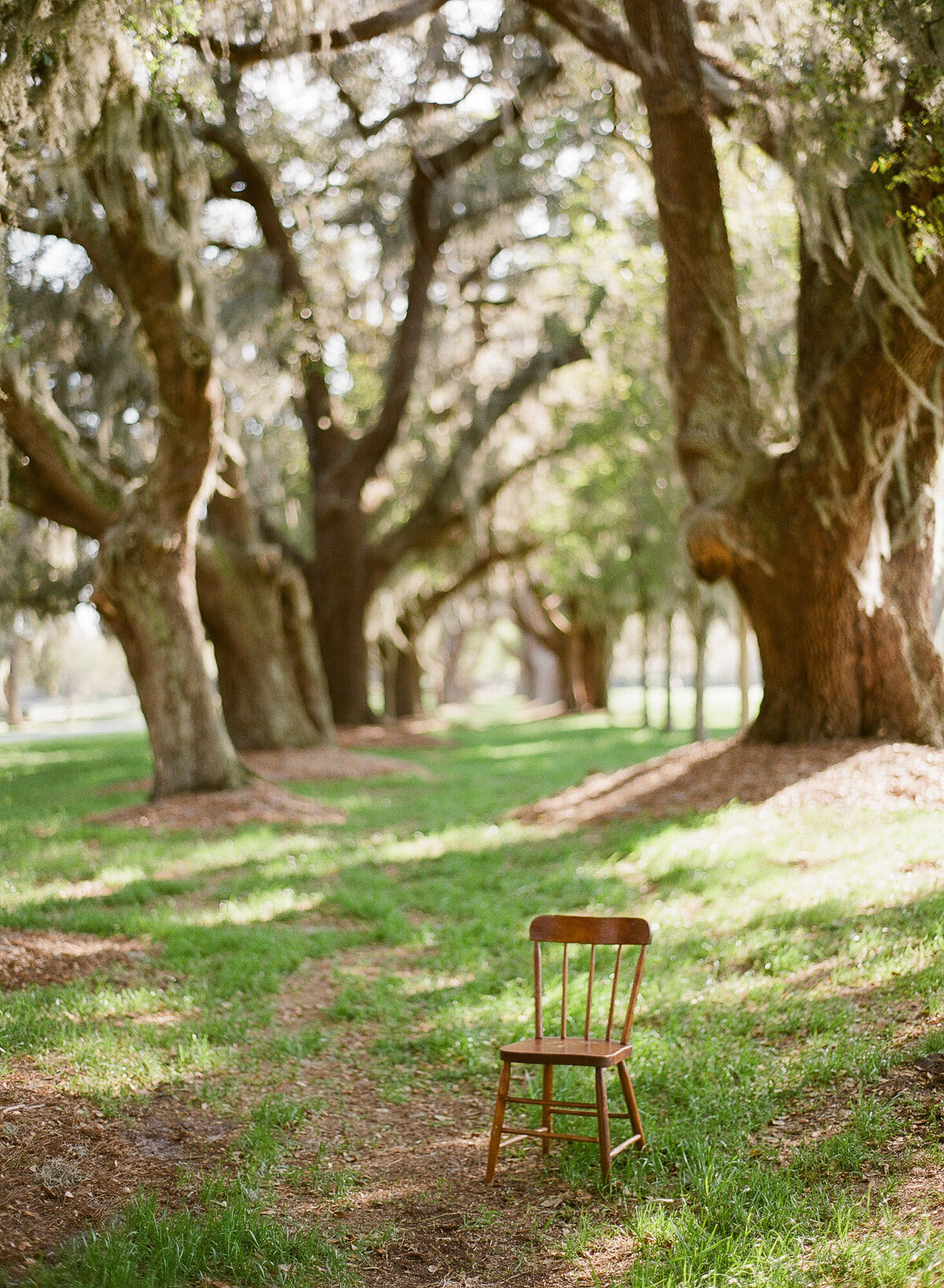 TravelWeddingPhotographer-Sea-Island-Georgia-235