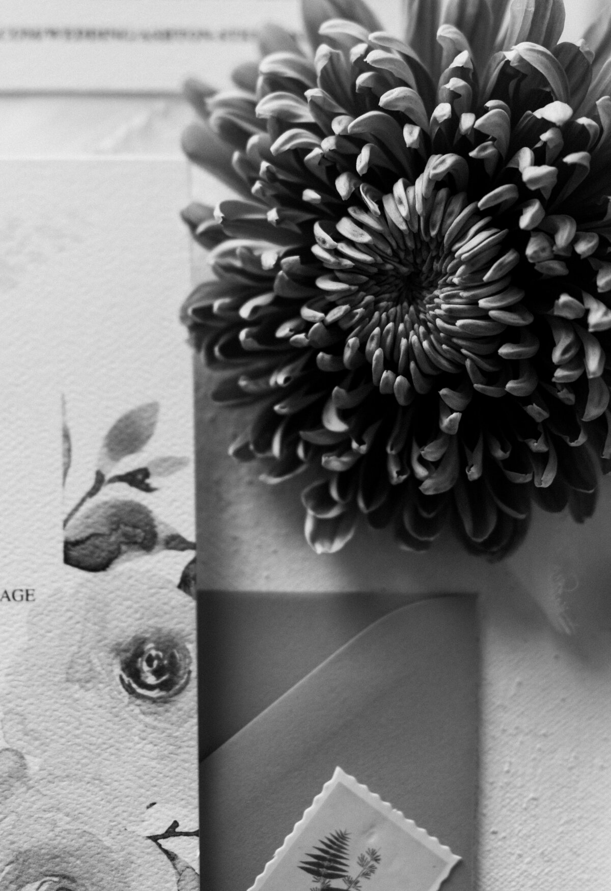 AS Hampshire House Boston Wedding Massachusetts Symula Media Group True to Color New England Boston Wedding Photography12025-11