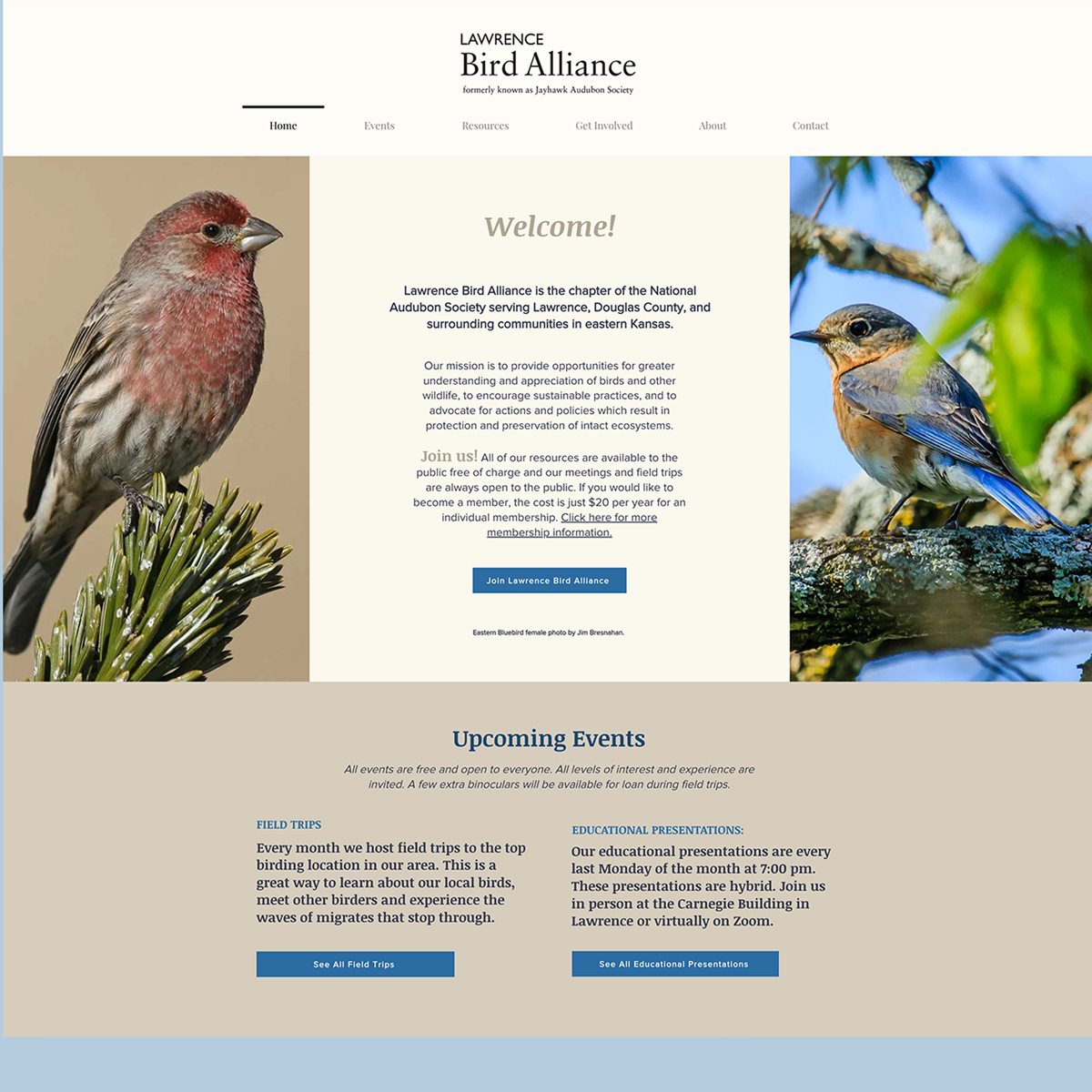 LBA-website-sq